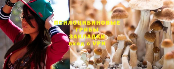 бошки Магас